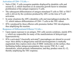 Activation of CD4+ T Cells.---
• Naïve CD4+ T cells recognize peptides displayed by dendritic cells and
secrete IL-2, which functions as an autocrine growth factor to stimulate
proliferation of the antigen responsive T cells.
• The subsequent differentiation of antigen-stimulated T cells to TH1 or TH17
cells is driven by the cytokines produced by APCs at the time of T-cell
activation.
• In some situations the APCs (dendritic cells and macrophages) produce IL-
12, which induces differentiation of CD4+ T cells to the TH1 subset.
• IFN-γ produced by these effector cells promotes further TH1 development,
thus amplifying the reaction.
Responses of Differentiated Effector T Cells:--
• Upon repeat exposure to an antigen, TH1 cells secrete cytokines, mainly IFN-
γ, which are responsible for many of the manifestations of delayed-type
hypersensitivity.
• IFN-γ-activated (“classically activated”) macrophages are altered in several
ways: their ability to phagocytose and kill microorganisms is markedly
augmented; they express more class II MHC molecules on the surface, thus
facilitating further antigen presentation; they secrete TNF, IL-1, and
chemokines, which promote inflammation; and they produce more IL-12,
thereby amplifying the TH1 response.
 