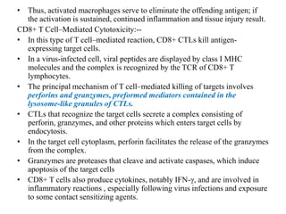 • Thus, activated macrophages serve to eliminate the offending antigen; if
the activation is sustained, continued inflammation and tissue injury result.
CD8+ T Cell–Mediated Cytotoxicity:--
• In this type of T cell–mediated reaction, CD8+ CTLs kill antigen-
expressing target cells.
• In a virus-infected cell, viral peptides are displayed by class I MHC
molecules and the complex is recognized by the TCR of CD8+ T
lymphocytes.
• The principal mechanism of T cell–mediated killing of targets involves
perforins and granzymes, preformed mediators contained in the
lysosome-like granules of CTLs.
• CTLs that recognize the target cells secrete a complex consisting of
perforin, granzymes, and other proteins which enters target cells by
endocytosis.
• In the target cell cytoplasm, perforin facilitates the release of the granzymes
from the complex.
• Granzymes are proteases that cleave and activate caspases, which induce
apoptosis of the target cells
• CD8+ T cells also produce cytokines, notably IFN-γ, and are involved in
inflammatory reactions , especially following virus infections and exposure
to some contact sensitizing agents.
 