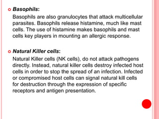  Basophils:
Basophils are also granulocytes that attack multicellular
parasites. Basophils release histamine, much like mast
cells. The use of histamine makes basophils and mast
cells key players in mounting an allergic response.
 Natural Killer cells:
Natural Killer cells (NK cells), do not attack pathogens
directly. Instead, natural killer cells destroy infected host
cells in order to stop the spread of an infection. Infected
or compromised host cells can signal natural kill cells
for destruction through the expression of specific
receptors and antigen presentation.
 