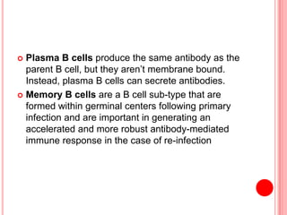  Plasma B cells produce the same antibody as the
parent B cell, but they aren’t membrane bound.
Instead, plasma B cells can secrete antibodies.
 Memory B cells are a B cell sub-type that are
formed within germinal centers following primary
infection and are important in generating an
accelerated and more robust antibody-mediated
immune response in the case of re-infection
 