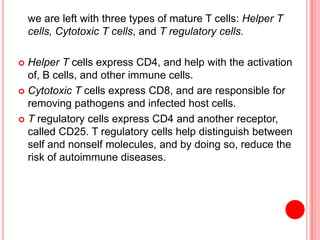 we are left with three types of mature T cells: Helper T
cells, Cytotoxic T cells, and T regulatory cells.
 Helper T cells express CD4, and help with the activation
of, B cells, and other immune cells.
 Cytotoxic T cells express CD8, and are responsible for
removing pathogens and infected host cells.
 T regulatory cells express CD4 and another receptor,
called CD25. T regulatory cells help distinguish between
self and nonself molecules, and by doing so, reduce the
risk of autoimmune diseases.
 