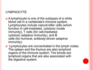 LYMPHOCYTE
 A lymphocyte is one of the subtypes of a white
blood cell in a vertebrate's immune system.
Lymphocytes include natural killer cells (which
function in cell-mediated, cytotoxic innate
immunity), T cells (for cell-mediated,
cytotoxic adaptive immunity), and B
cells (for humoral, antibody-driven adaptive
immunity).
 Lymphocytes are concentrated in the lymph nodes.
The spleen and the thymus are also lymphoid
organs of the immune system. The tonsils are
lymphoid organs that are also associated with
the digestive system.
 
