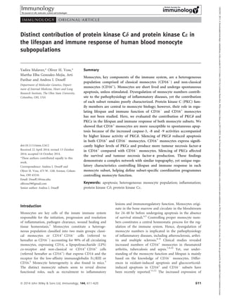 Distinct contribution of protein kinase Cd and protein kinase Ce in
the lifespan and immune response of human blood monocyte
subpopulations
Yadira Malavez,* Oliver H. Voss,*
Martha Elba Gonzalez-Mejia, Arti
Parihar and Andrea I. Doseff
Department of Molecular Genetics, Depart-
ment of Internal Medicine, Heart and Lung
Research Institute, The Ohio State University,
Columbus, OH, USA
doi:10.1111/imm.12412
Received 22 April 2014; revised 13 October
2014; accepted 14 October 2014.
*These authors contributed equally to this
work.
Correspondence: Andrea I. Doseff and
Oliver H. Voss, 473 W. 12th Avenue, Colum-
bus, OH 43210.
Email: Doseff.1@osu.edu;
ollivoss39@gmail.com
Senior author: Andrea I. Doseff
Summary
Monocytes, key components of the immune system, are a heterogeneous
population comprised of classical monocytes (CD16
) and non-classical
monocytes (CD16+
). Monocytes are short lived and undergo spontaneous
apoptosis, unless stimulated. Dysregulation of monocyte numbers contrib-
ute to the pathophysiology of inflammatory diseases, yet the contribution
of each subset remains poorly characterized. Protein kinase C (PKC) fam-
ily members are central to monocyte biology; however, their role in regu-
lating lifespan and immune function of CD16
and CD16+
monocytes
has not been studied. Here, we evaluated the contribution of PKCd and
PKCe in the lifespan and immune response of both monocyte subsets. We
showed that CD16+
monocytes are more susceptible to spontaneous apop-
tosis because of the increased caspase-3, -8 and -9 activities accompanied
by higher kinase activity of PKCd. Silencing of PKCd reduced apoptosis
in both CD16+
and CD16
monocytes. CD16+
monocytes express signifi-
cantly higher levels of PKCe and produce more tumour necrosis factor-a
in CD16+
compared with CD16
monocytes. Silencing of PKCe affected
the survival and tumour necrosis factor-a production. These findings
demonstrate a complex network with similar topography, yet unique regu-
latory characteristics controlling lifespan and immune response in each
monocyte subset, helping define subset-specific coordination programmes
controlling monocyte function.
Keywords: apoptosis; heterogeneous monocyte population; inflammation;
protein kinase Cd; protein kinase Ce.
Introduction
Monocytes are key cells of the innate immune system
responsible for the initiation, progression and resolution
of inflammation, pathogen clearance, wound healing and
tissue homeostasis.1
Monocytes constitute a heteroge-
neous population classified into two main groups: classi-
cal monocytes or CD14+
CD16
cells (referred to
hereafter as CD16
) accounting for 90% of all circulating
monocytes, expressing CD14, a lipopolysaccharide (LPS)
co-receptor and non-classical or CD14+
CD16+
cells
(referred hereafter as CD16+
) that express CD14 and the
receptor for the low-affinity immunoglobulin FccRIII or
CD16.2
Monocyte heterogeneity is also found in mice.3
The distinct monocyte subsets seem to reveal diverse
functional roles, such as recruitment to inflammatory
lesions and immunoregulatory function. Monocytes origi-
nate in the bone marrow and circulate in the bloodstream
for 24–48 hr before undergoing apoptosis in the absence
of survival stimuli.4,5
Controlling proper monocyte num-
bers constitutes a central homeostatic process for the reg-
ulation of the immune system. Hence, dysregulation of
monocyte numbers is implicated in the pathophysiology
of inflammatory diseases, including atherosclerosis, arthri-
tis and multiple sclerosis.6–8
Clinical studies revealed
increased numbers of CD16+
monocytes in rheumatoid
arthritis, tuberculosis and sepsis.7,9,10
Yet, our under-
standing of the monocyte function and lifespan is mainly
based on the knowledge of CD16
monocytes. Differ-
ences in oxidant-induced apoptosis and glucocorticoid-
induced apoptosis in CD16+
and CD16
subsets have
been recently reported.11,12
The increased expression of
ª 2014 John Wiley  Sons Ltd, Immunology, 144, 611–620 611
I M M U N O L OG Y O R I G I N A L A R T I C L E
13652567,
2015,
4,
Downloaded
from
https://onlinelibrary.wiley.com/doi/10.1111/imm.12412
by
Cochrane
Puerto
Rico,
Wiley
Online
Library
on
[30/11/2022].
See
the
Terms
and
Conditions
(https://onlinelibrary.wiley.com/terms-and-conditions)
on
Wiley
Online
Library
for
rules
of
use;
OA
articles
are
governed
by
the
applicable
Creative
Commons
License
 