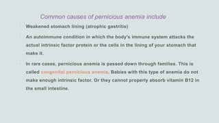 Common causes of pernicious anemia include



 