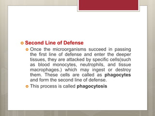 Second Line of Defense
 Once the microorganisms succeed in passing
the first line of defense and enter the deeper
tissues, they are attacked by specific cells(such
as blood monocytes, neutrophils, and tissue
macrophages.) which may ingest or destroy
them. These cells are called as phagocytes
and form the second line of defense.
 This process is called phagocytosis
 