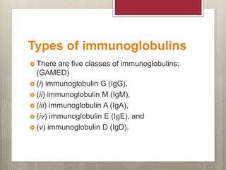 Types of immunoglobulins
 There are five classes of immunoglobulins:
(GAMED)
 (i) immunoglobulin G (IgG),
 (ii) immunoglobulin M (IgM),
 (iii) immunoglobulin A (IgA),
 (iv) immunoglobulin E (IgE), and
 (v) immunoglobulin D (IgD).
 