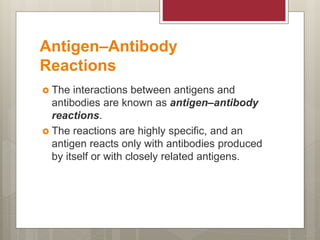 Antigen–Antibody
Reactions
 The interactions between antigens and
antibodies are known as antigen–antibody
reactions.
 The reactions are highly specific, and an
antigen reacts only with antibodies produced
by itself or with closely related antigens.
 