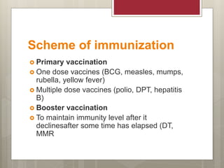 Scheme of immunization
 Primary vaccination
 One dose vaccines (BCG, measles, mumps,
rubella, yellow fever)
 Multiple dose vaccines (polio, DPT, hepatitis
B)
 Booster vaccination
 To maintain immunity level after it
declinesafter some time has elapsed (DT,
MMR
 