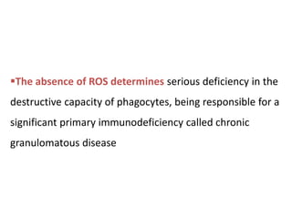 The absence of ROS determines serious deficiency in the
destructive capacity of phagocytes, being responsible for a
significant primary immunodeficiency called chronic
granulomatous disease
 