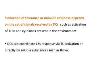 Induction of tolerance or immune response depends
on the set of signals received by DCs, such as activation
of TLRs and cytokines present in the environment.
 DCs can coordinate LBs response via TL activation or
directly by soluble substances such as INF-α.
 