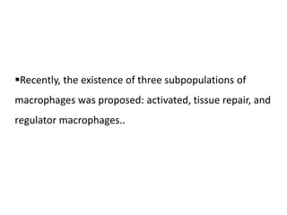 Recently, the existence of three subpopulations of
macrophages was proposed: activated, tissue repair, and
regulator macrophages..
 