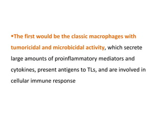The first would be the classic macrophages with
tumoricidal and microbicidal activity, which secrete
large amounts of proinflammatory mediators and
cytokines, present antigens to TLs, and are involved in
cellular immune response
 