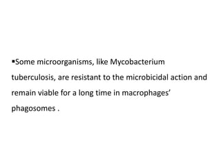 Some microorganisms, like Mycobacterium
tuberculosis, are resistant to the microbicidal action and
remain viable for a long time in macrophages’
phagosomes .
 