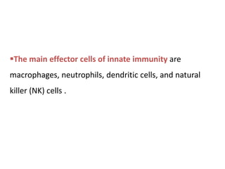 The main effector cells of innate immunity are
macrophages, neutrophils, dendritic cells, and natural
killer (NK) cells .
 