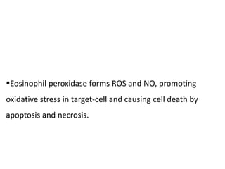 Eosinophil peroxidase forms ROS and NO, promoting
oxidative stress in target-cell and causing cell death by
apoptosis and necrosis.
 