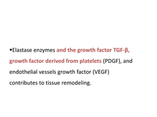 Elastase enzymes and the growth factor TGF-β,
growth factor derived from platelets (PDGF), and
endothelial vessels growth factor (VEGF)
contributes to tissue remodeling.
 