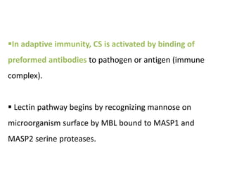 In adaptive immunity, CS is activated by binding of
preformed antibodies to pathogen or antigen (immune
complex).
 Lectin pathway begins by recognizing mannose on
microorganism surface by MBL bound to MASP1 and
MASP2 serine proteases.
 