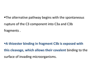 The alternative pathway begins with the spontaneous
rupture of the C3 component into C3a and C3b
fragments .
A thioester binding in fragment C3b is exposed with
this cleavage, which allows their covalent binding to the
surface of invading microorganisms.
 