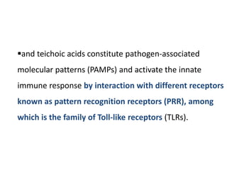 and teichoic acids constitute pathogen-associated
molecular patterns (PAMPs) and activate the innate
immune response by interaction with different receptors
known as pattern recognition receptors (PRR), among
which is the family of Toll-like receptors (TLRs).
 