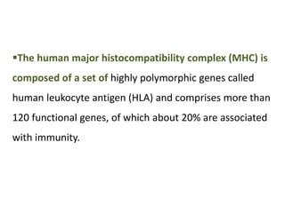 The human major histocompatibility complex (MHC) is
composed of a set of highly polymorphic genes called
human leukocyte antigen (HLA) and comprises more than
120 functional genes, of which about 20% are associated
with immunity.
 
