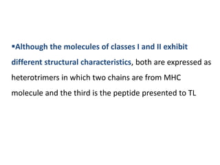 Although the molecules of classes I and II exhibit
different structural characteristics, both are expressed as
heterotrimers in which two chains are from MHC
molecule and the third is the peptide presented to TL
 