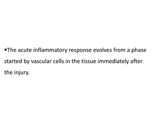 The acute inflammatory response evolves from a phase
started by vascular cells in the tissue immediately after
the injury.
 