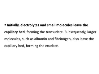  Initially, electrolytes and small molecules leave the
capillary bed, forming the transudate. Subsequently, larger
molecules, such as albumin and fibrinogen, also leave the
capillary bed, forming the exudate.
 