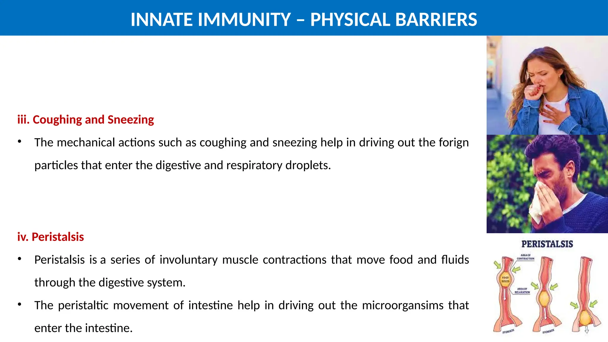 Innate Immunity - Immunology Exam Point of View | PPTX