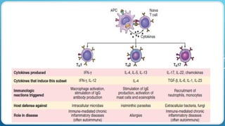 Comprehensive Overview of Major Histocompatibility Complex and Immune ...