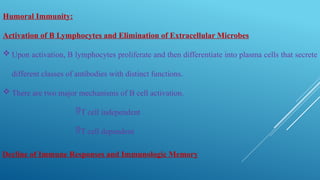 Comprehensive Overview of Major Histocompatibility Complex and Immune ...