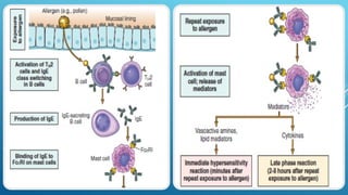 Comprehensive Overview of Major Histocompatibility Complex and Immune ...