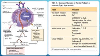 Comprehensive Overview of Major Histocompatibility Complex and Immune ...