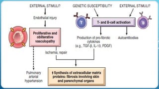 Comprehensive Overview of Major Histocompatibility Complex and Immune ...