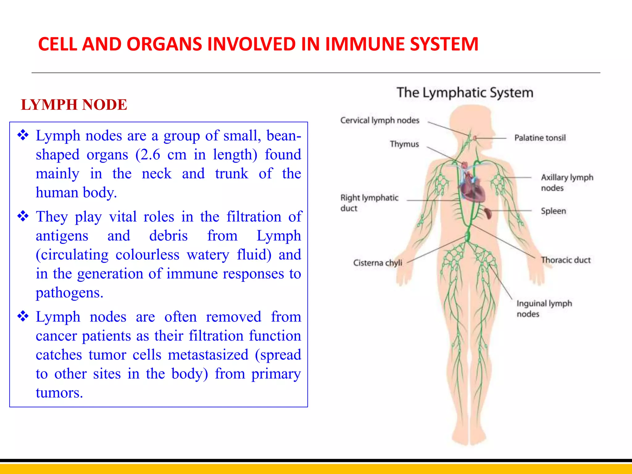 WHAT IS IMMUNOLOGY visual data 3