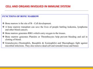 CELL AND ORGANS INVOLVED IN IMMUNE SYSTEM
FUNCTIONS OF BONE MARROW
 Bone marrow is the site of B – Cell development.
 A bone marrow transplant can save the lives of people battling leukemia, lymphoma
and other blood cancers.
 Bone marrow generates RBCs which carry oxygen to the tissues.
 Bone marrow generates Platelets or Thrombocytes help prevent bleeding and aid in
clotting of blood.
 Granulocytes (Neutrophils, Basophils & Eosinophils) and Macrophages fight against
microbial infections. They also remove dead cell and remodel tissue and bones
 