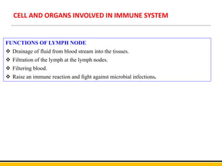 CELL AND ORGANS INVOLVED IN IMMUNE SYSTEM
FUNCTIONS OF LYMPH NODE
 Drainage of fluid from blood stream into the tissues.
 Filtration of the lymph at the lymph nodes.
 Filtering blood.
 Raise an immune reaction and fight against microbial infections.
 