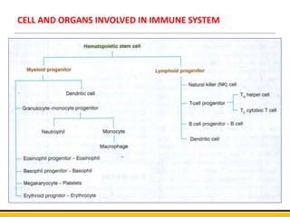 CELL AND ORGANS INVOLVED IN IMMUNE SYSTEM
 