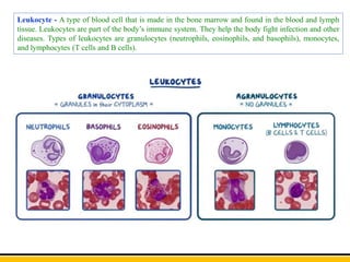 Leukocyte - A type of blood cell that is made in the bone marrow and found in the blood and lymph
tissue. Leukocytes are part of the body’s immune system. They help the body fight infection and other
diseases. Types of leukocytes are granulocytes (neutrophils, eosinophils, and basophils), monocytes,
and lymphocytes (T cells and B cells).
 