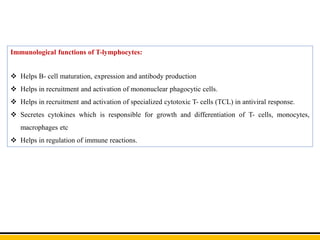 Immunological functions of T-lymphocytes:
 Helps B- cell maturation, expression and antibody production
 Helps in recruitment and activation of mononuclear phagocytic cells.
 Helps in recruitment and activation of specialized cytotoxic T- cells (TCL) in antiviral response.
 Secretes cytokines which is responsible for growth and differentiation of T- cells, monocytes,
macrophages etc
 Helps in regulation of immune reactions.
 