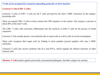 T cells can be grouped into categories depending primarily on their function.
Cytotoxic T cells (CD8+ T cells)
Cytotoxic T cells or CD8+ T cells are the T cells activated by the class I MHC molecules on the antigen-
presenting cells.
These are named CD8+ T cells as these contain the CD8 receptors on the surface. The receptor is present in
about 40% of the total T cells.
The CD8+ T cells, after activation, differentiate into the cytotoxic or killer T cells by the process of clonal
expansion.
Cytotoxic T cells usually destroy virus-infected cells or tumor cells as well as cells involved in transplants.
These cells recognize their target cells by binding to short peptides present together with class I MHC
molecules.
Cytotoxic T cells also secrete cytokines like IL-2 and IFN-γ, which regulate the effector functions of other
immune cells.
Memory T cells protect against previously encountered pathogens, but their origins are unclear.
 