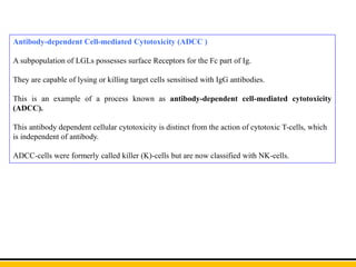 Antibody-dependent Cell-mediated Cytotoxicity (ADCC )
A subpopulation of LGLs possesses surface Receptors for the Fc part of Ig.
They are capable of lysing or killing target cells sensitised with IgG antibodies.
This is an example of a process known as antibody-dependent cell-mediated cytotoxicity
(ADCC).
This antibody dependent cellular cytotoxicity is distinct from the action of cytotoxic T-cells, which
is independent of antibody.
ADCC-cells were formerly called killer (K)-cells but are now classified with NK-cells.
 