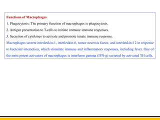 Functions of Macrophages
1. Phagocytosis: The primary function of macrophages is phagocytosis.
2. Antigen presentation to T-cells to initiate immune immune responses.
3. Secretion of cytokines to activate and promote innate immune response.
Macrophages secrete interleukin-1, interleukin-6, tumor necrosis factor, and interleukin-12 in response
to bacterial interaction, which stimulate immune and inflammatory responses, including fever. One of
the most potent activators of macrophages is interferon gamma (IFN-g) secreted by activated TH cells.
 