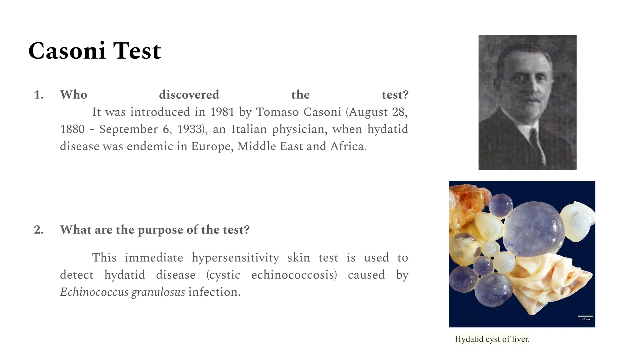 Immunology-Report-Group-1.pdf (Bachman test) | PDF