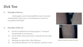 Dick Test
3. Principle of the test
Erythrogenic toxin (Scarlatinal/Dick toxin) is injected
intradermally which causes an erythematous reaction in
susceptible individuals.
4. Procedure of the test
A. 0.2 ml of standard toxin of Strep.pyogenes is injected
intradermally in one forearm.
B. 0.2 ml of heat inactivated toxin is injected into the other
forearm.
C. Readings are taken after a day (24 hours).
D. An erythema diameter of 1 cm indicates a positive result.
Typical skin reaction in a positive Dick Test.
 
