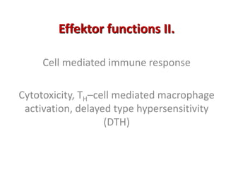 Effektor functions II.
Cell mediated immune response
Cytotoxicity, TH–cell mediated macrophage
activation, delayed type hypersensitivity
(DTH)
 