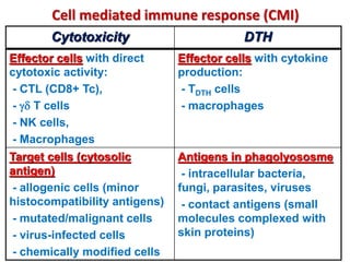 Cell mediated immune response (CMI)
Cytotoxicity DTH
Effector cells with direct
cytotoxic activity:
- CTL (CD8+ Tc),
-  T cells
- NK cells,
- Macrophages
Effector cells with cytokine
production:
- TDTH cells
- macrophages
Target cells (cytosolic
antigen)
- allogenic cells (minor
histocompatibility antigens)
- mutated/malignant cells
- virus-infected cells
- chemically modified cells
Antigens in phagolyososme
- intracellular bacteria,
fungi, parasites, viruses
- contact antigens (small
molecules complexed with
skin proteins)
 