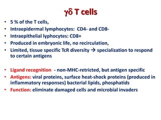  T cells
• 5 % of the T cells,
• Intraepidermal lymphocytes: CD4- and CD8-
• Intraepithelial lyphocytes: CD8+
• Produced in embryonic life, no recirculation,
• Limited, tissue specific TcR diversity  specialization to respond
to certain antigens
• Ligand recognition: - non-MHC-retricted, but antigen specific
• Antigens: viral proteins, surface heat-shock proteins (produced in
inflammatory responses) bacterial lipids, phosphatids
• Function: eliminate damaged cells and microbial invaders
 