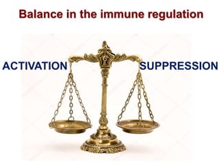 Balance in the immune regulation
ACTIVATION SUPPRESSION
 