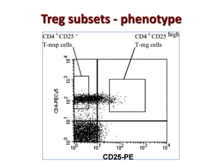 Treg subsets - phenotype
 