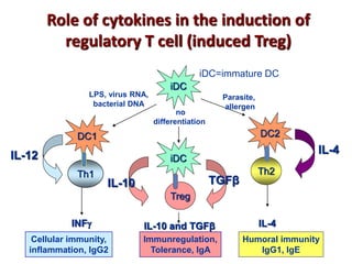 Role of cytokines in the induction of
regulatory T cell (induced Treg)
iDC
iDC
DC1 DC2
Th1 Th2
Treg
Parasite,
allergen
LPS, virus RNA,
bacterial DNA
IL-12
IL-10 TGFβ
IL-4
INF
no
differentiation
IL-4IL-10 and TGFβ
Cellular immunity,
inflammation, IgG2
Humoral immunity
IgG1, IgE
Immunregulation,
Tolerance, IgA
iDC=immature DC
 